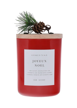 Joyeux Noel