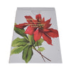 Poinsettia Flower & Rose