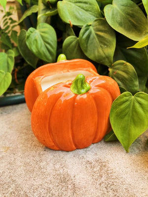 A Pumpkin for Your Thoughts Ceramic Candle Double Wick